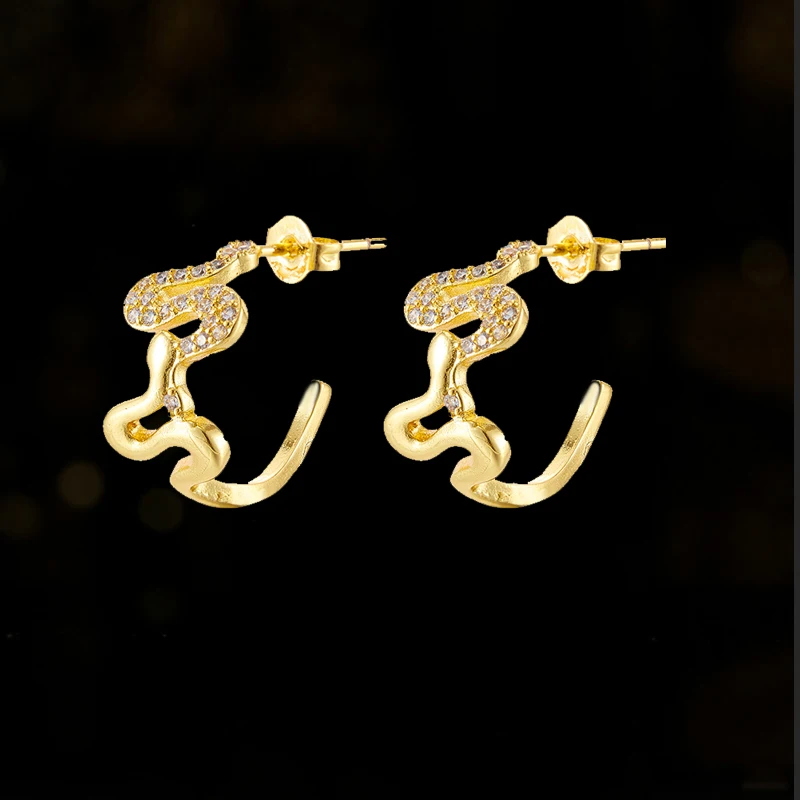 Luxury Punk Snake Circle Pendant Earrings for Women Korea Geometric Circle Piercing Huggies Earrings Wedding Jewelry