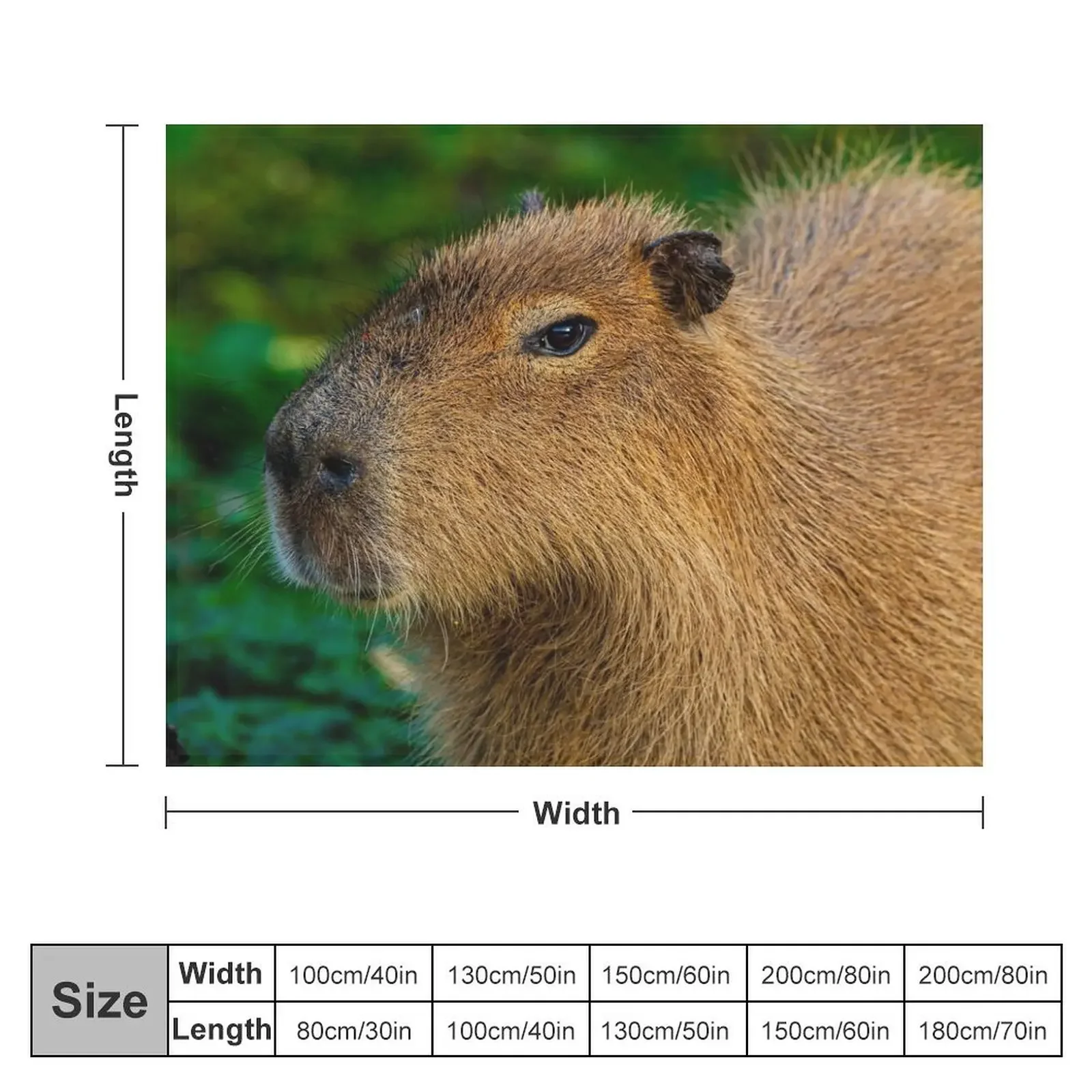 Capybara deep in thought Throw Blanket Sleeping Bag sofa bed Kid'S Blankets