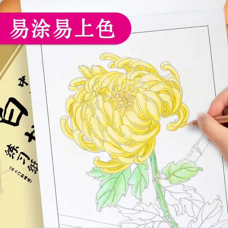 Tracing and Coloring Chinese Painting Beginner Tracing Book Flowers, Birds and Fish Drawing Book Beginner's Workbook