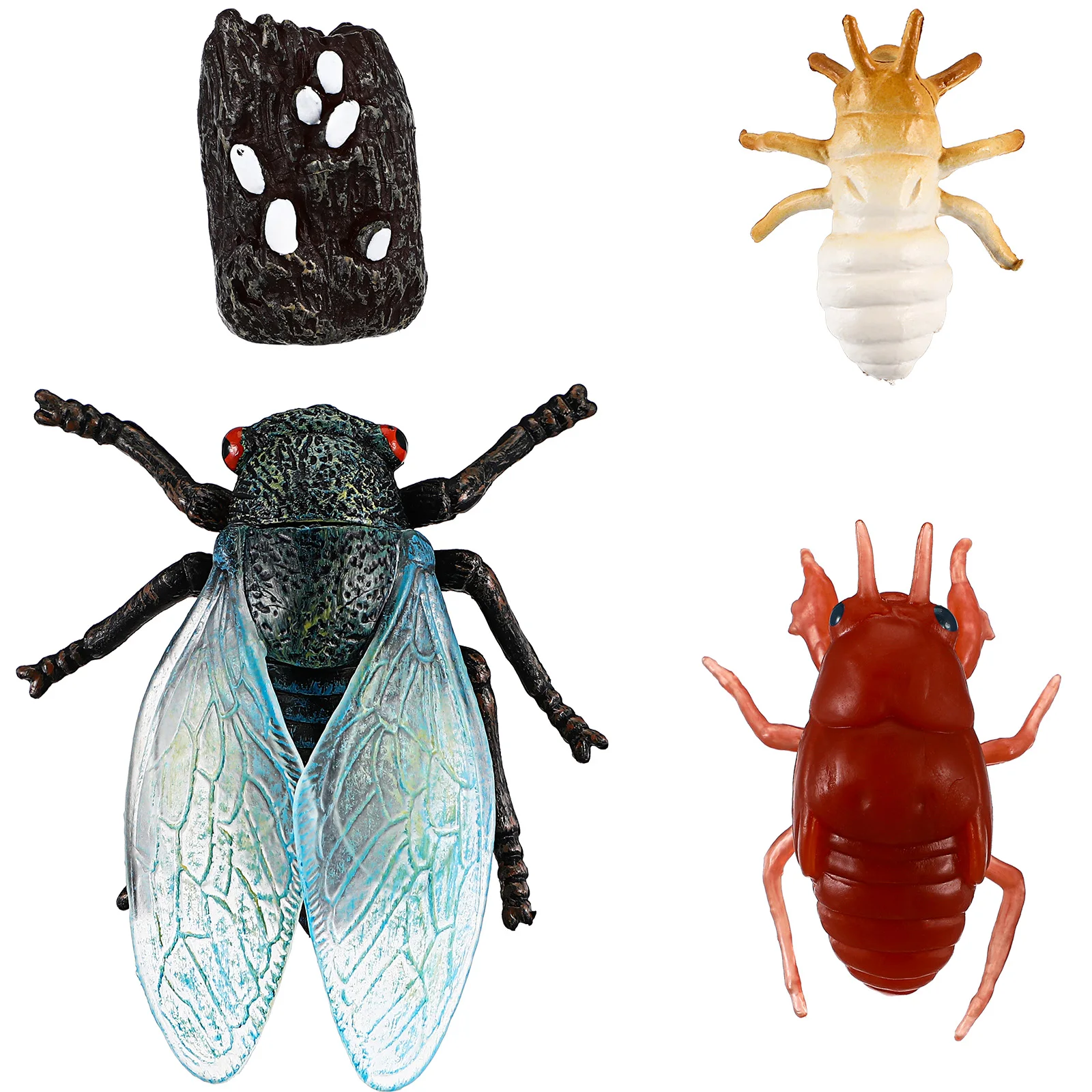 Educação científica brinquedos cognitivos cicada ciclo de vida estatuetas modelos de insetos realistas materiais seguros design resistente usos versáteis