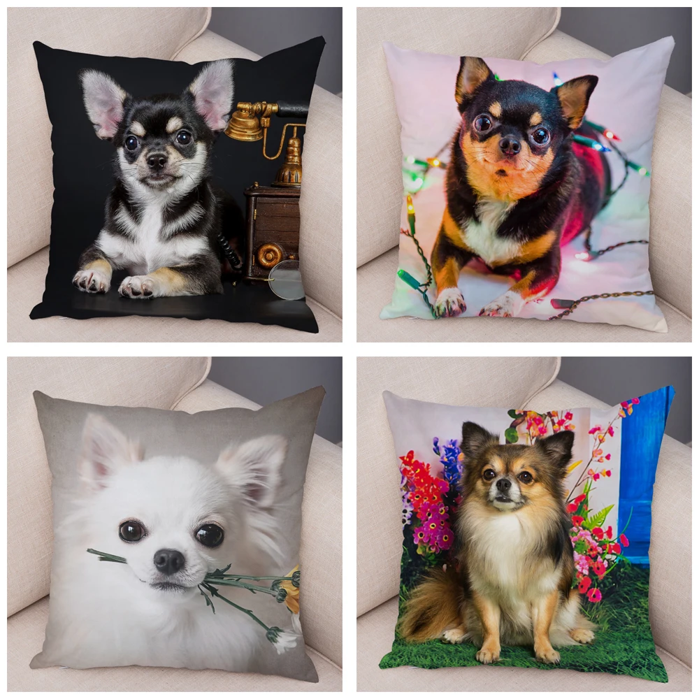 Cushion Cover Car Sofa Home Pillowcase Cute Pet Animal  Decoration Puppy Chihuahua