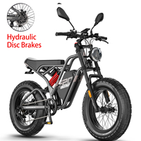 Fafrees F20 ULTRA Adult Electric Bicycle 1200W 48V25Ah Hydraulic disc brakes 20 inch Fattire Moto Ebike Off-Road E-Mountain Bike
