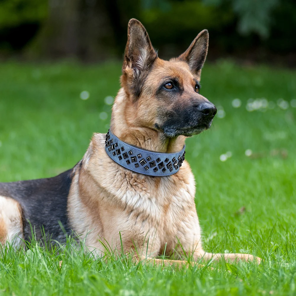 Real Leather Dog Collar Spike Big Dog Collars Durable Padded Pet Training Necklace Collars For Medium Large Dogs French Bulldog