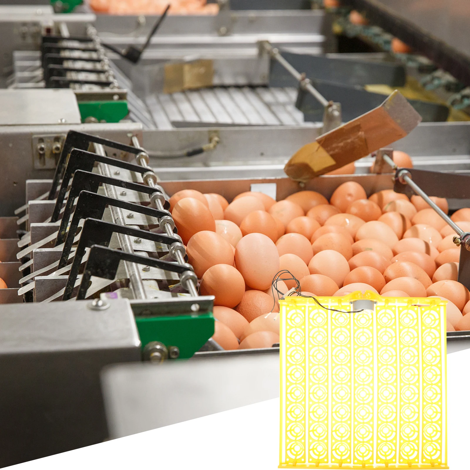

Incubator Egg Tray Automatic Turner for Chicken Ducks Quail Eggs Hatching Supplies Heat Resistance Long Time Use