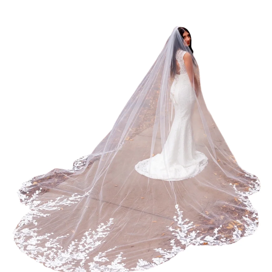 Elegant Wedding Veils Appliques Lace One Layer White Ivory Tulle Bridal Veil with Combs 3 Meters Veu de Noiva Longo Real Images