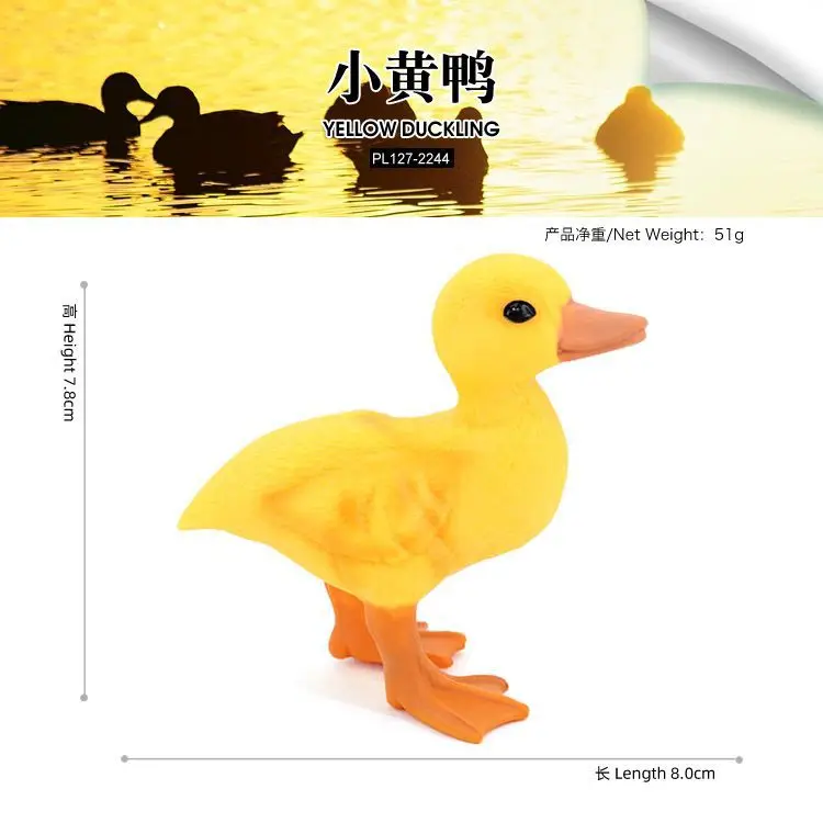 Imitation poultry real animal model little yellow little white duck plastic solid children's cognitive toy decorative