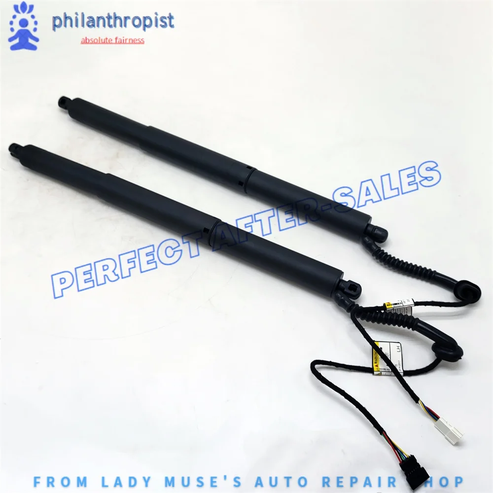 

2XTailgate Power Hatch Lift Support Strut Fit 2014-2017 for BMW X5 F15 51244823279 51244823280