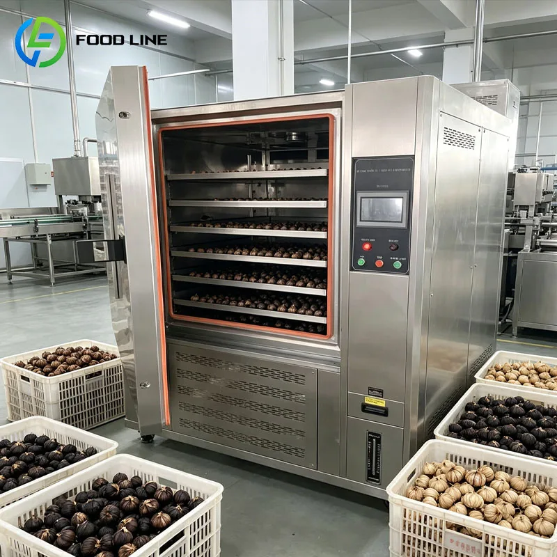 Black Garlic Fermentation Device Fermenter Aging Cabinet Maker SS Steel Customized