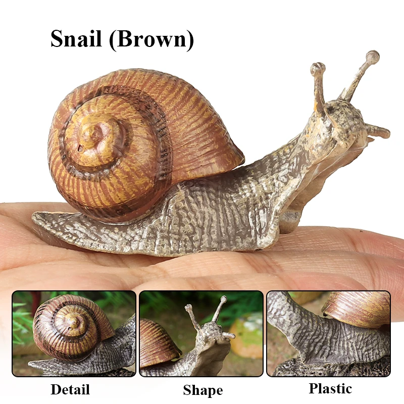 Oenux Wildes Insekt Tiere Schnecken Wachstumszyklus Modell Gartendekoration Figuren PVC Miniatur Niedliche Bildung Kinderspielzeug – Detail 4