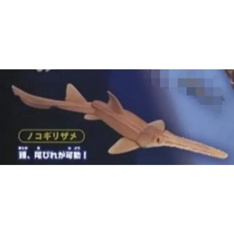 Original Sea Life THE SHARK Gashapon juguetes figura de simulación modelo adornos Juguetes