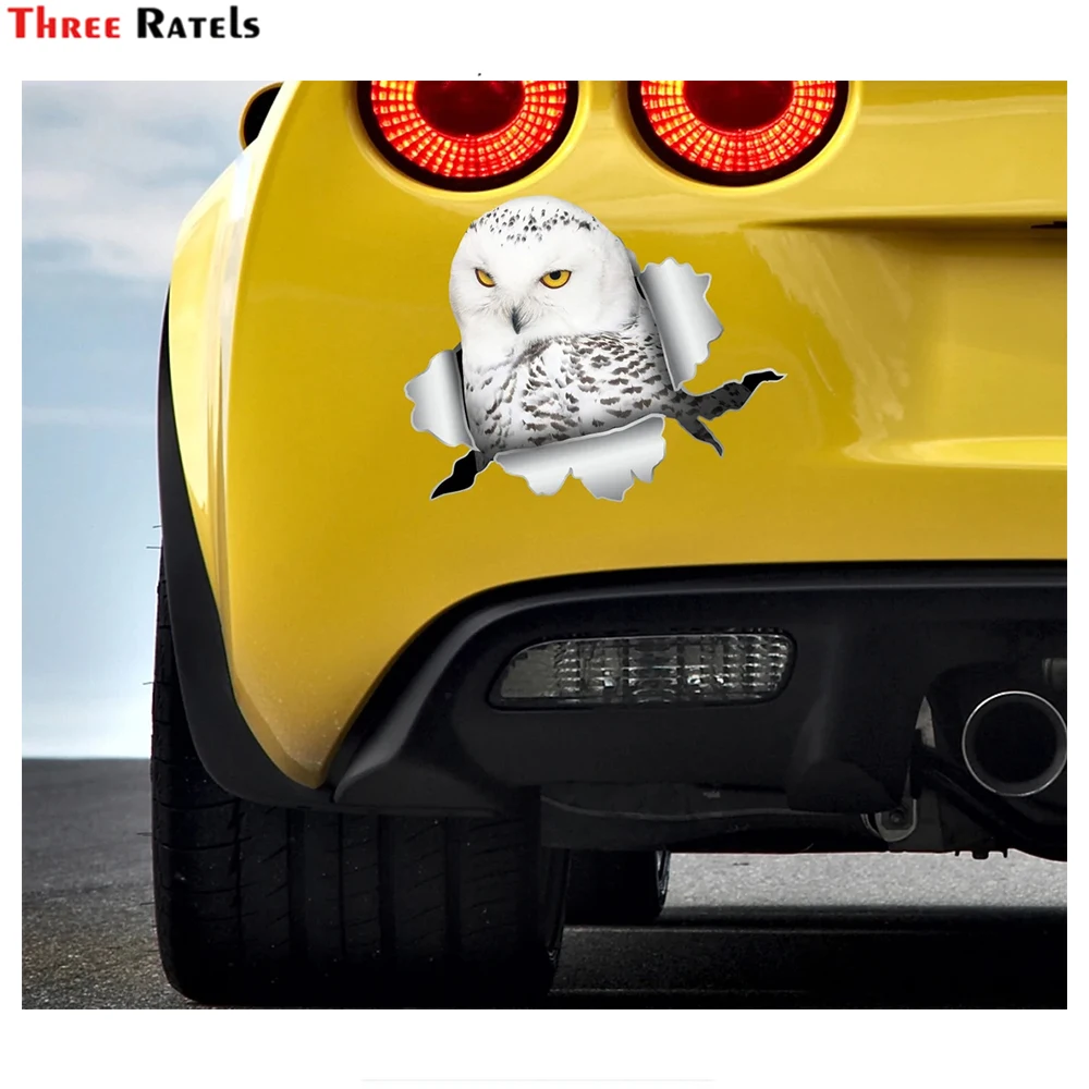 Three Ratels i622 funny white birds owl car decal auto sticker for Ford Puma Hyundai Kona