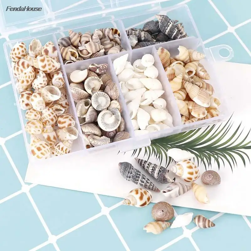 1-3cm 1 BOX Mix Style Natural Shell Natural Conch Shells Mini Conch Corn Screw Wall Decoration DIY Aquarium Landscape Seashells