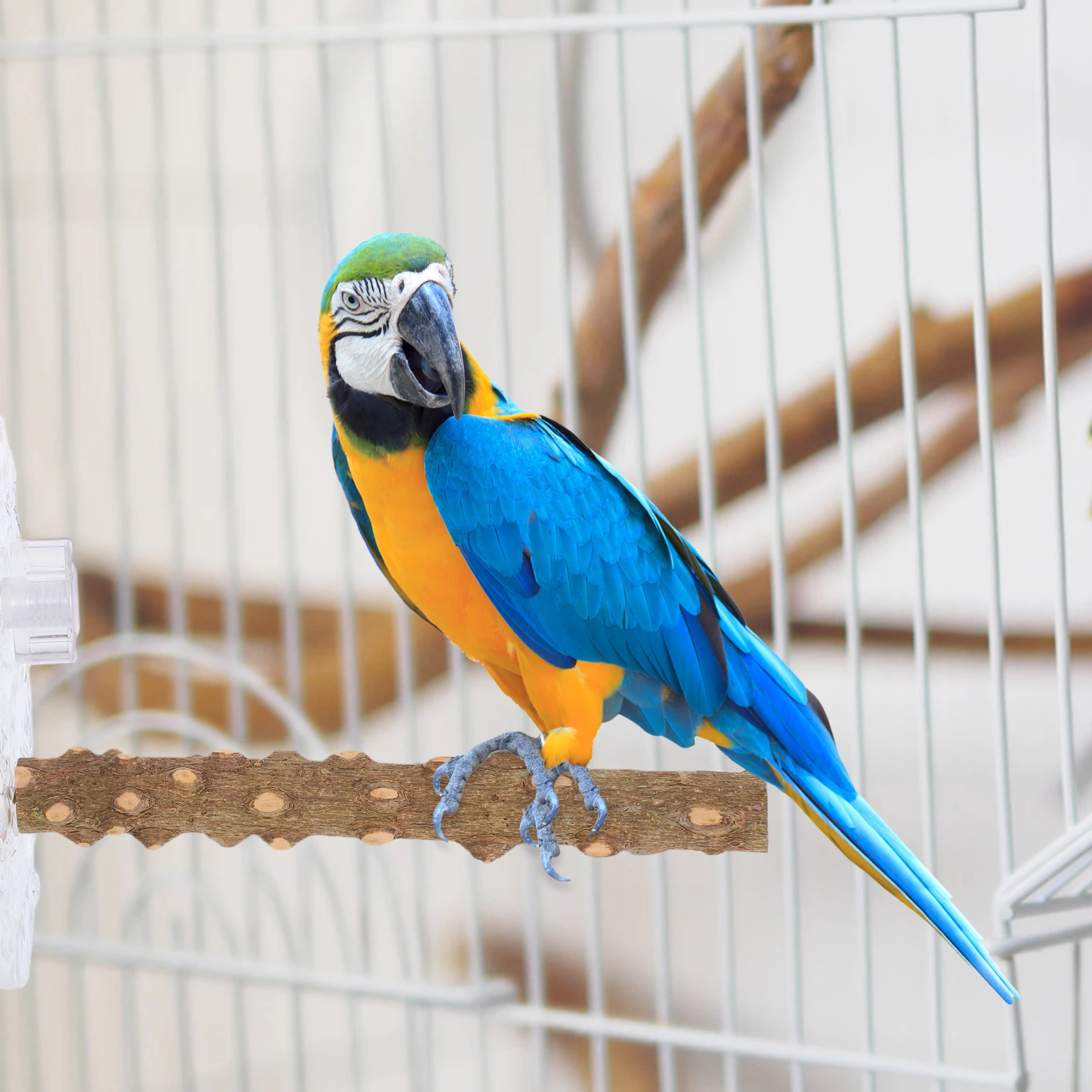 

Parrot Platform Stand Bird Perches Natural Wood Acrylic Suction Cup Portable Safe Materials Textured Surface Antislip Parrot