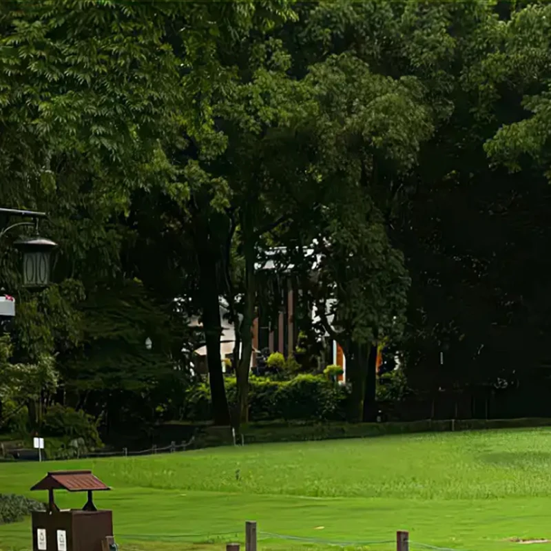 JX Servo PDI-4503HB Plastikowa przekładnia 120 °   Serwo cyfrowe 330Hz o dużym momencie obrotowym do helikopterów, dronów, czołgów, samochodów, robotów i akcesoriów.