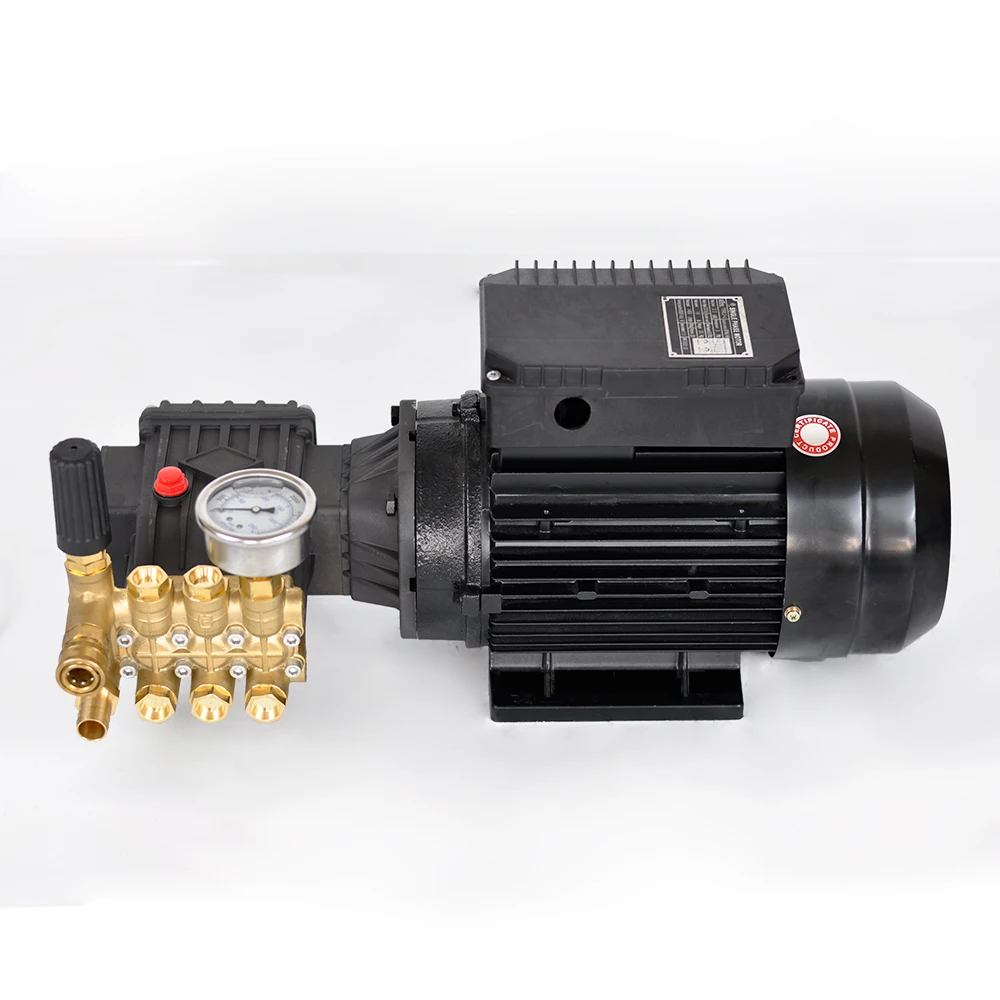 

For CE High Pressure Cleaning Machine Electric Motor Pump Assembly High Pressure Water Pump For Car Wash Triplex Plunger Pump 38