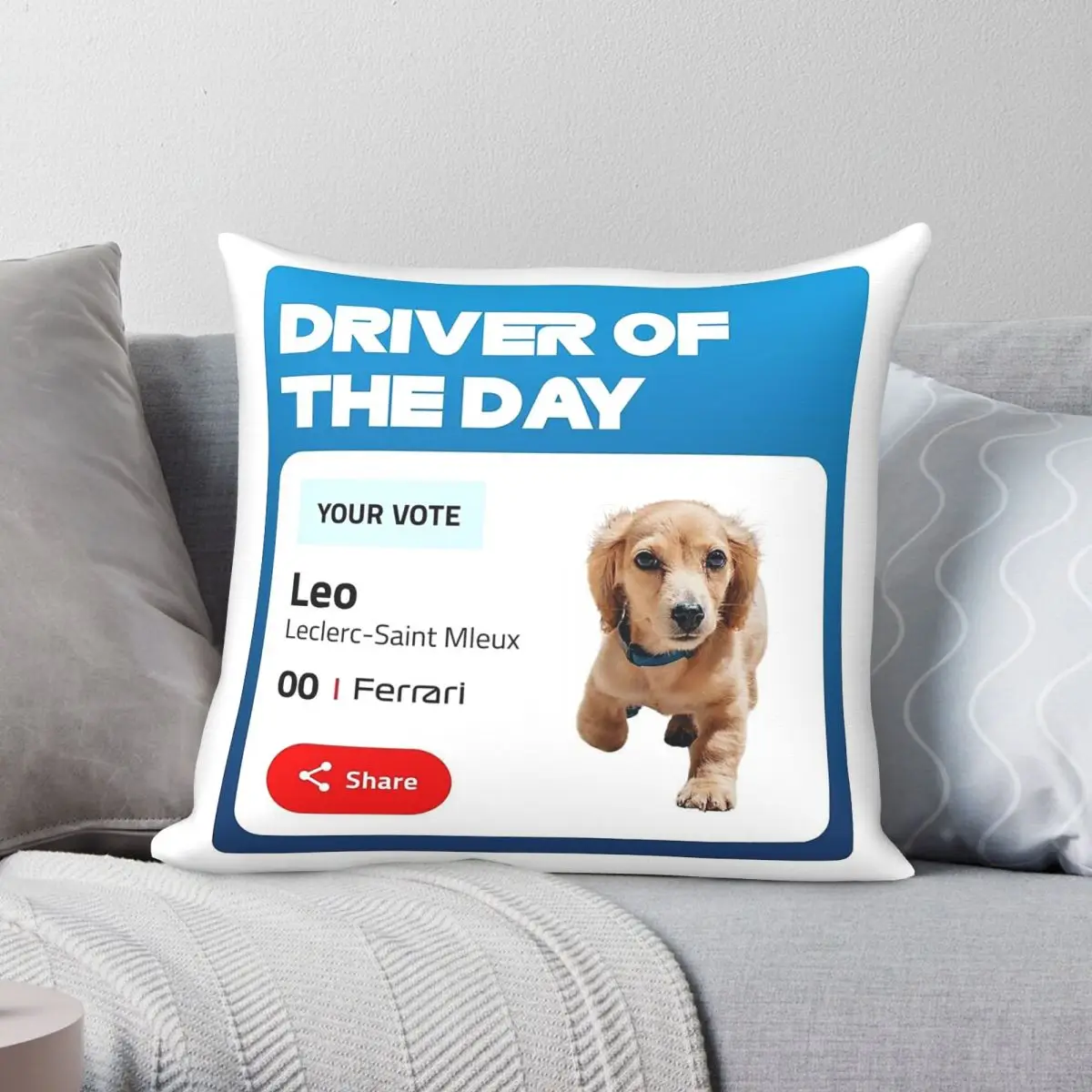 Driver Of The Day Saint Mleux Square Pillowcase Polyester Linen Velvet Creative Zip Decorative Sofa Seater Cushion Case