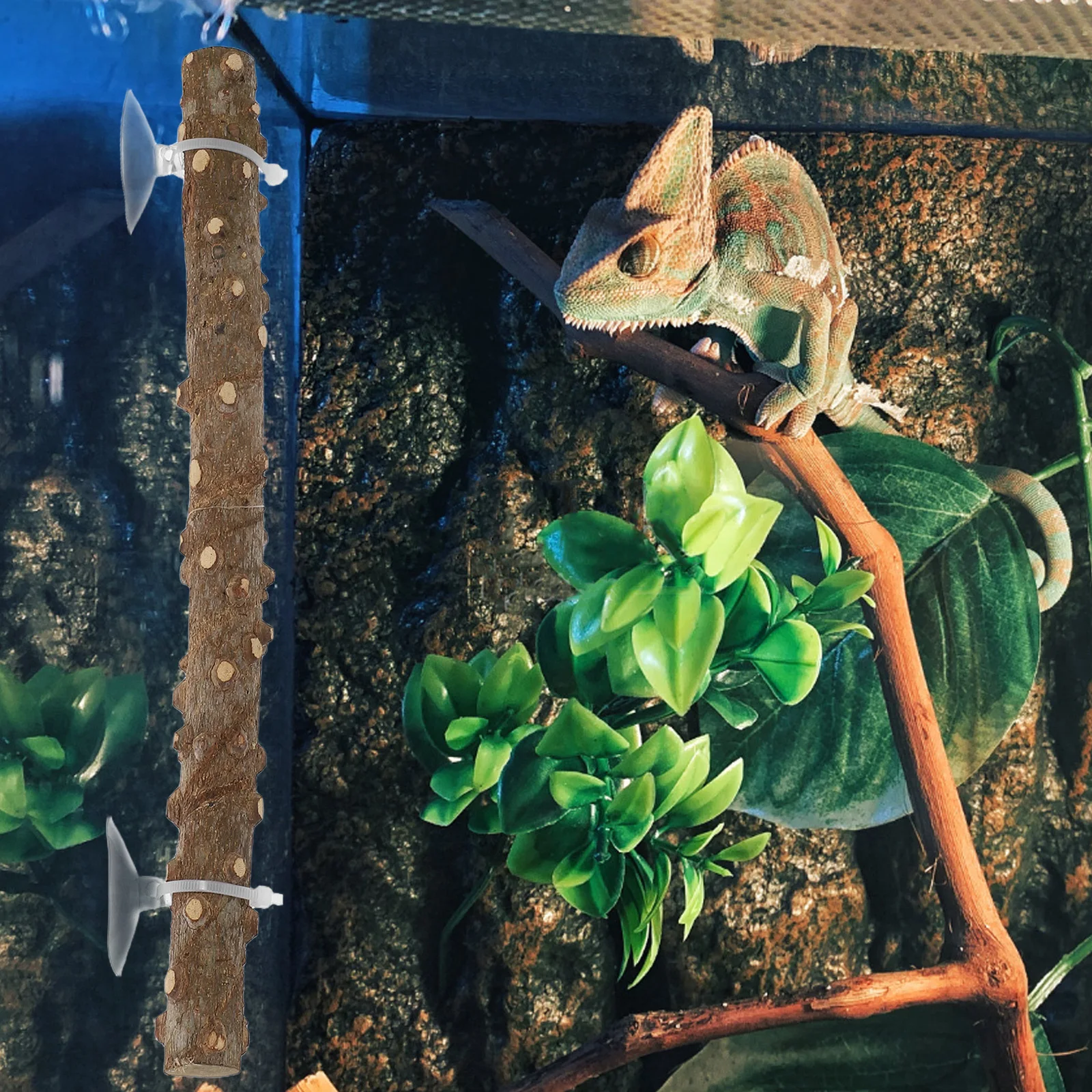 

2pcs Reptile Climbing Stick Pepper Wood Branch Toy for Lizard Terrarium Habitat Decoration Suction Cups Zip Ties Natural