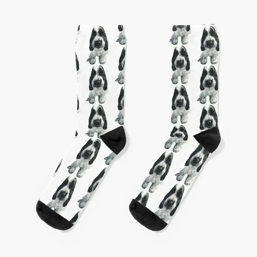 

English Cocker Spaniel - Cute Blue Roan puppy dog Socks christmas gifts hiking hockey custom Socks For Man Women's