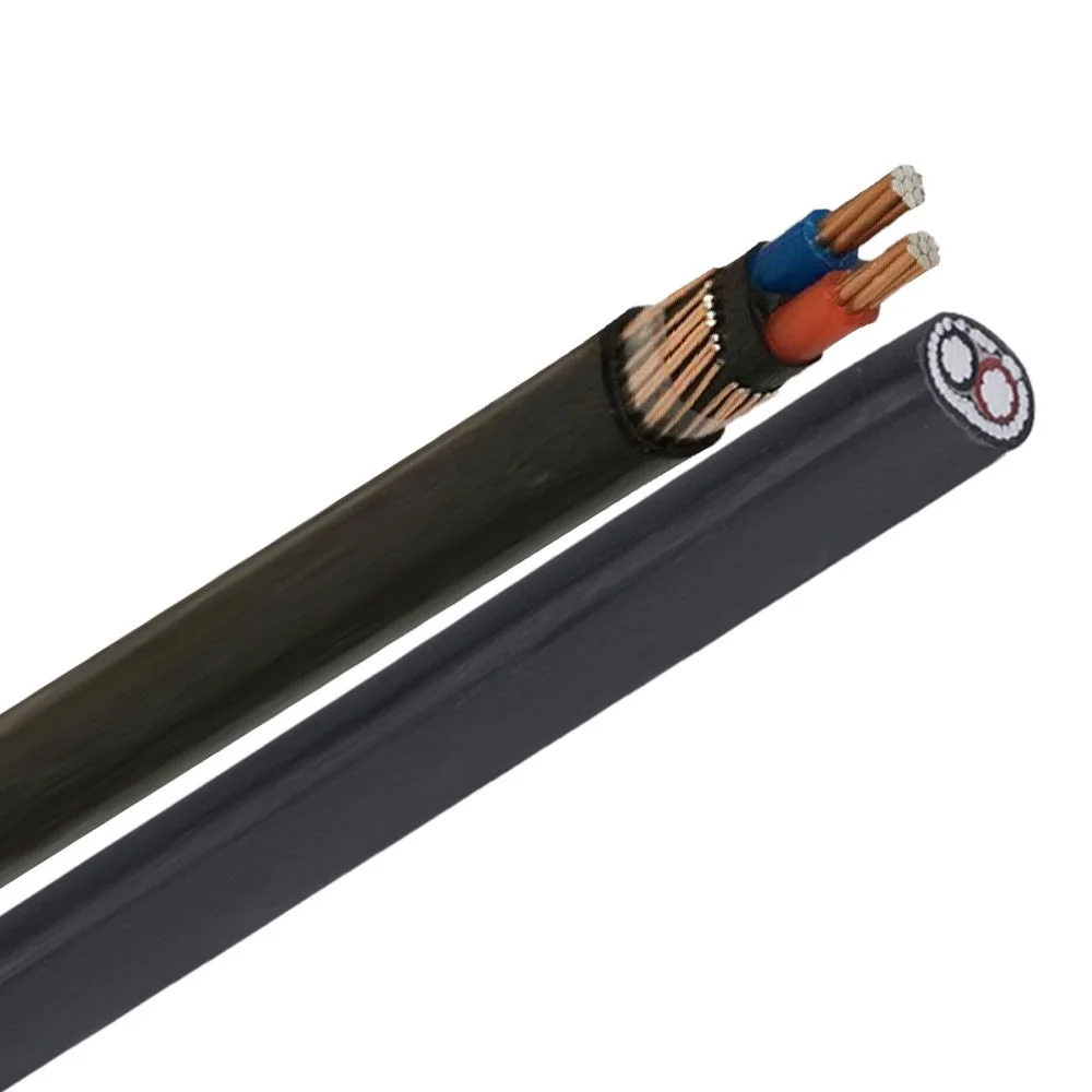 【من الصين】2 Core 10mm2 16mm2 25mm2 35mm2 كابل موصل نحاسي متحدة المركز XLPE معزول