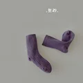 Gray purple