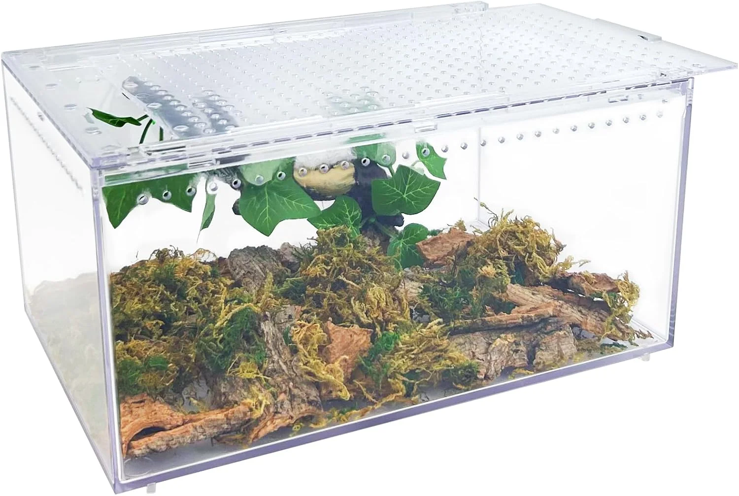 

Acrylic Tarantula Reptile Tank Transparent Box Jumping Spider Cage for Insect Snail Amphibians Jumping Spider Iguana