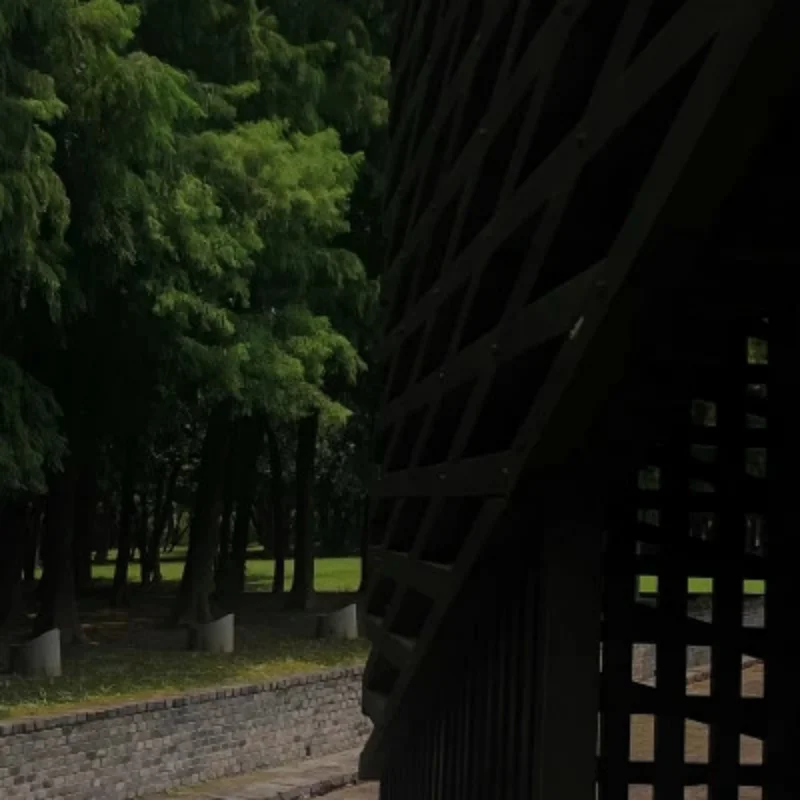 

Алюминиевая центральная коробка передач для Trxs E-Revo VXL 2.0 8691