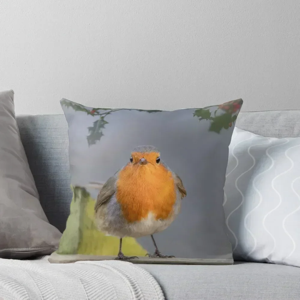 

A Christmas Robin Throw Pillow Sofa Covers For Living Room Decorative Sofa Cushion Decorative Cushions Cushion Child pillow