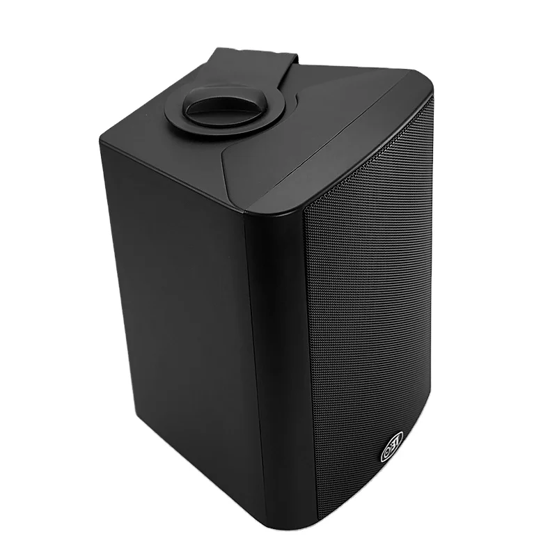 PA Top selling SIP POE Power Supply Or External Connect to DC+12V active ceiling professional active speaker