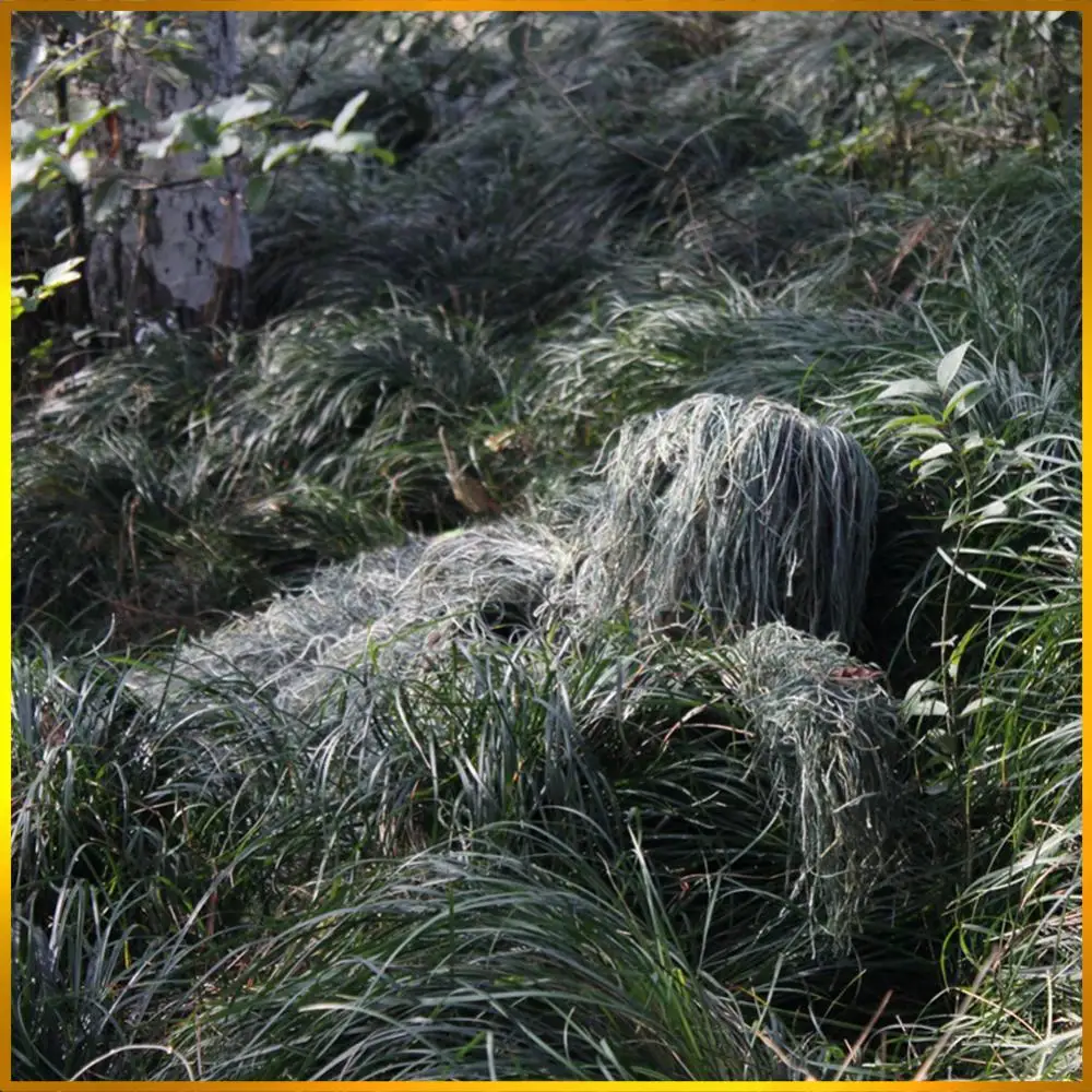 

5Pcs/Set Woodland Hunter Ghillie Suit with Jacket Pants Hood Carry Bag Camo Ghillie Suit Hunt Clothing Parts