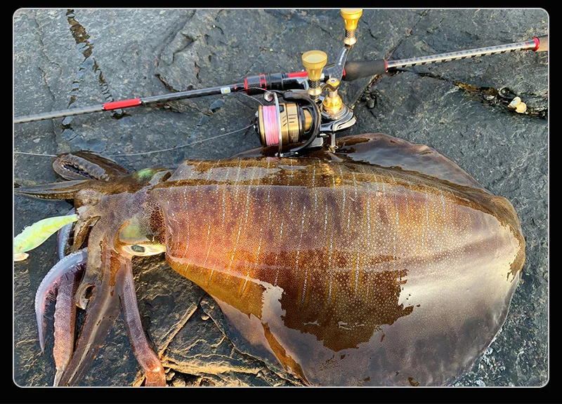 Pureture Novia See köder Boot Angeln Surf Casting Tintenfisch Rute Köder Holzrute Egi Rute Tintenfisch Jig Köder Big Tail Tintenfisch Tintenfisch – Detail 10