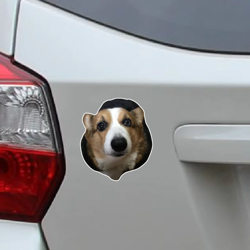 XY Corgi dog sticker  Car Rear windshield Stickers Auto Accessories  Car Door Decals Vinyl Waterproof  13cmx11cm