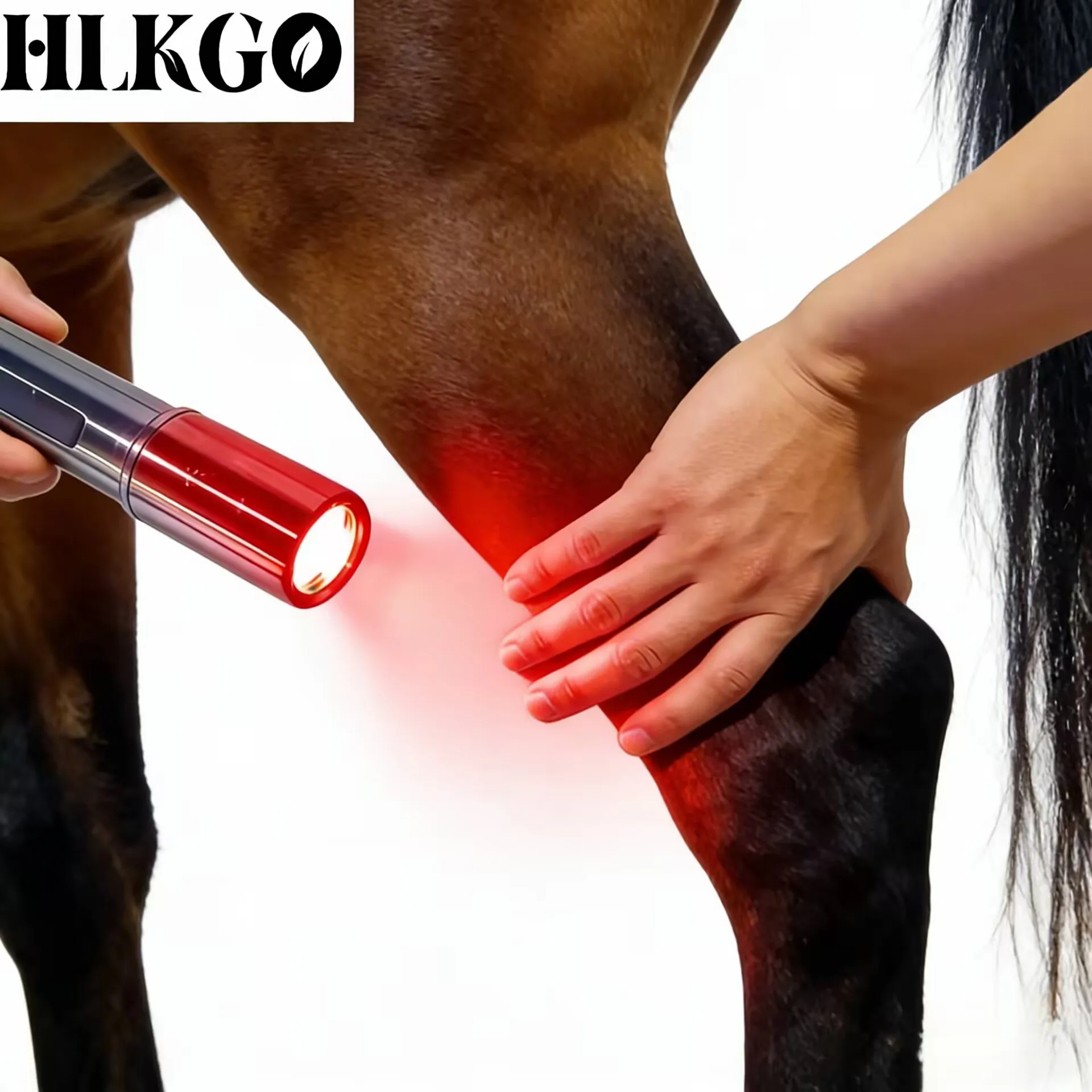 

Ветеринарный лазерный терапевтический аппарат с 5 длинами волн (900 нм) для собак, кошек, лошадей: облегчение боли, лечение артрита, суставов и мышц