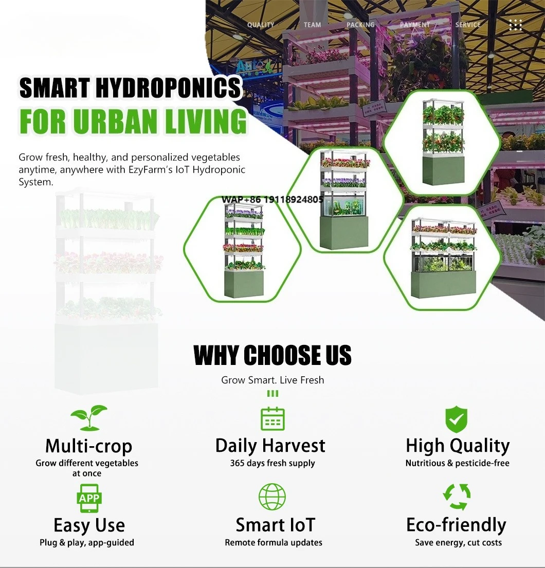 Affordable Home Hydroponic Plant Planter