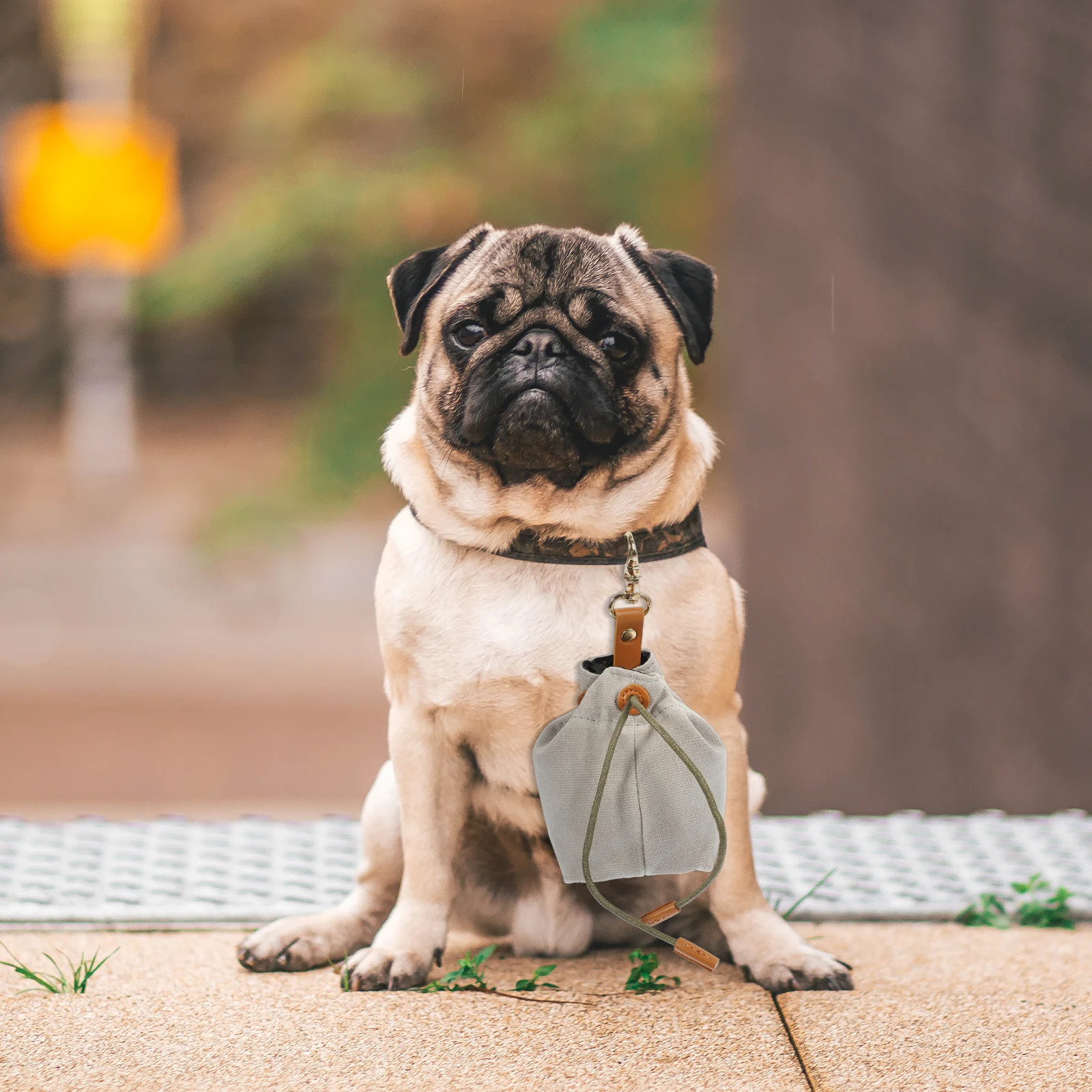 

Dog Snack Bag Portable Treat Pouch Canvas Holder Large Capacity Easy Clean Outdoor Supply Puppy Training Buckle Safe Durable Pet