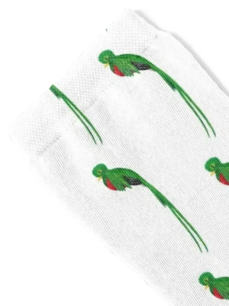 Resplendent Quetzal Guatemala Socks hiphop soccer anti-slip Run golf Boy Socks Women's