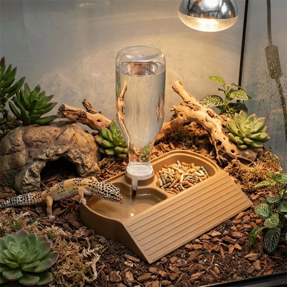 2 in 1 Reptile Feeder Station Automatic Fill Climbing Slope Automatic Water Dispenser Large Capacity Bite Resistant