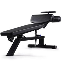 Commercial Adjustable Dumbbell Bench Multi-Function Sit-Up Board Abdominal Workout Bench Flat Incline Decline Utility Bench