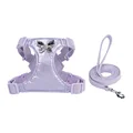 Violeta
