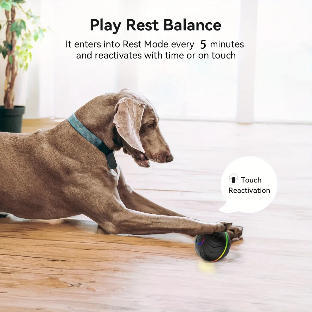 Thumbnail 4 - #81 Puppy Puzzle Toys Comparison Guide