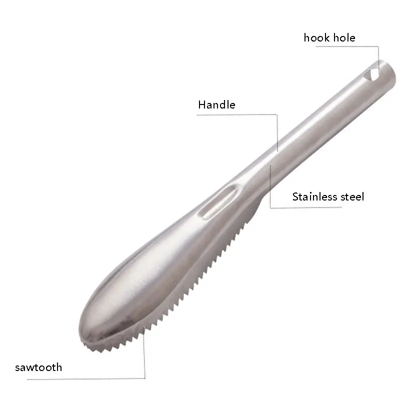 Stainless Steel Fish Scaler Sawtooth Fish Scale Remover, Fast Fish Skin Descaler Scraper Grater, Easy Clean Seafood Processing Tool with Hanging Hole for Home Kitchen
