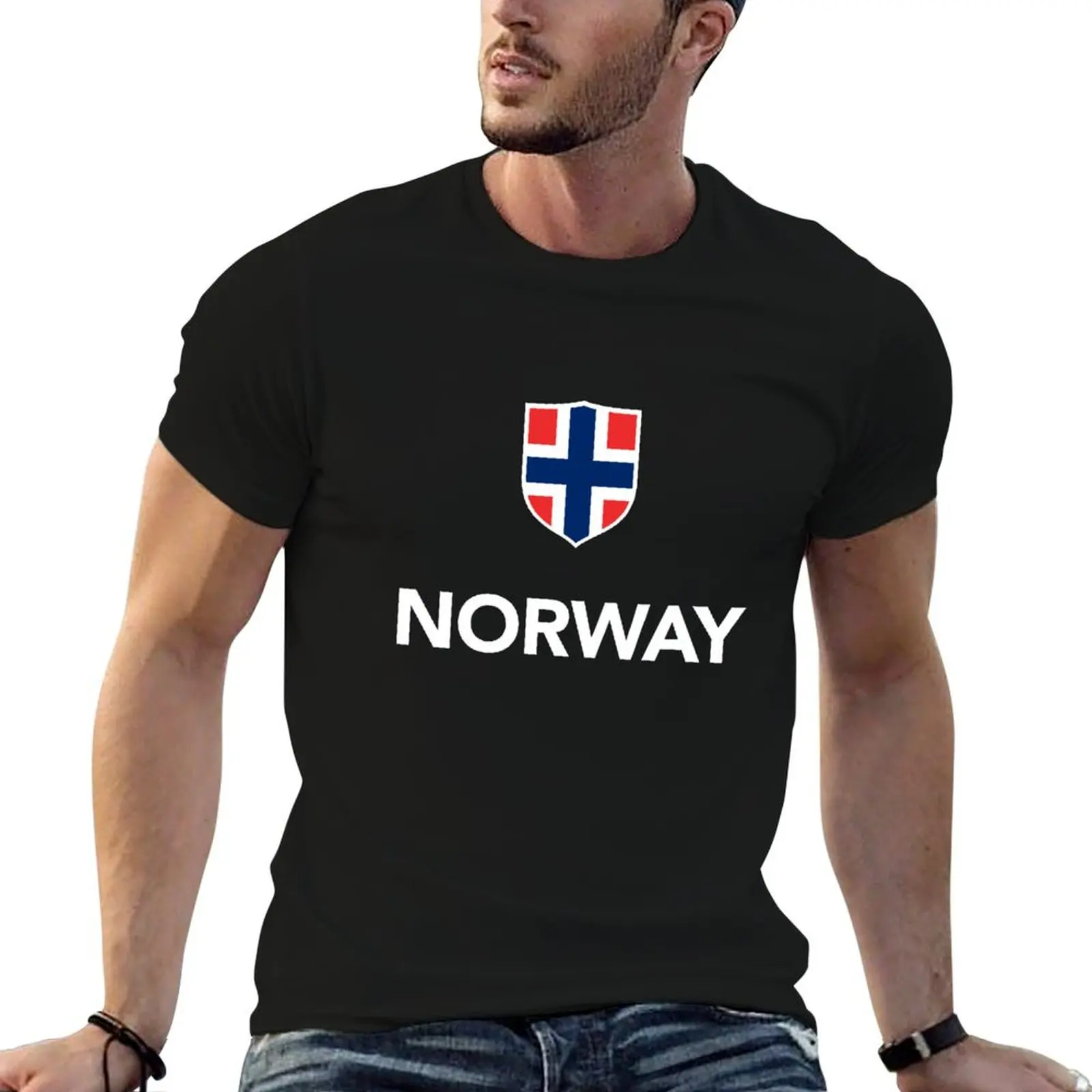 Norway Norwegian Flag T-Shirt plus size clothes Short sleeve tee slim fit t shirts for men