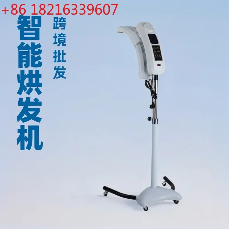 Hair heater cold perm and styling hair dryer, decolorizing and dyeing hair, multi-functional integration