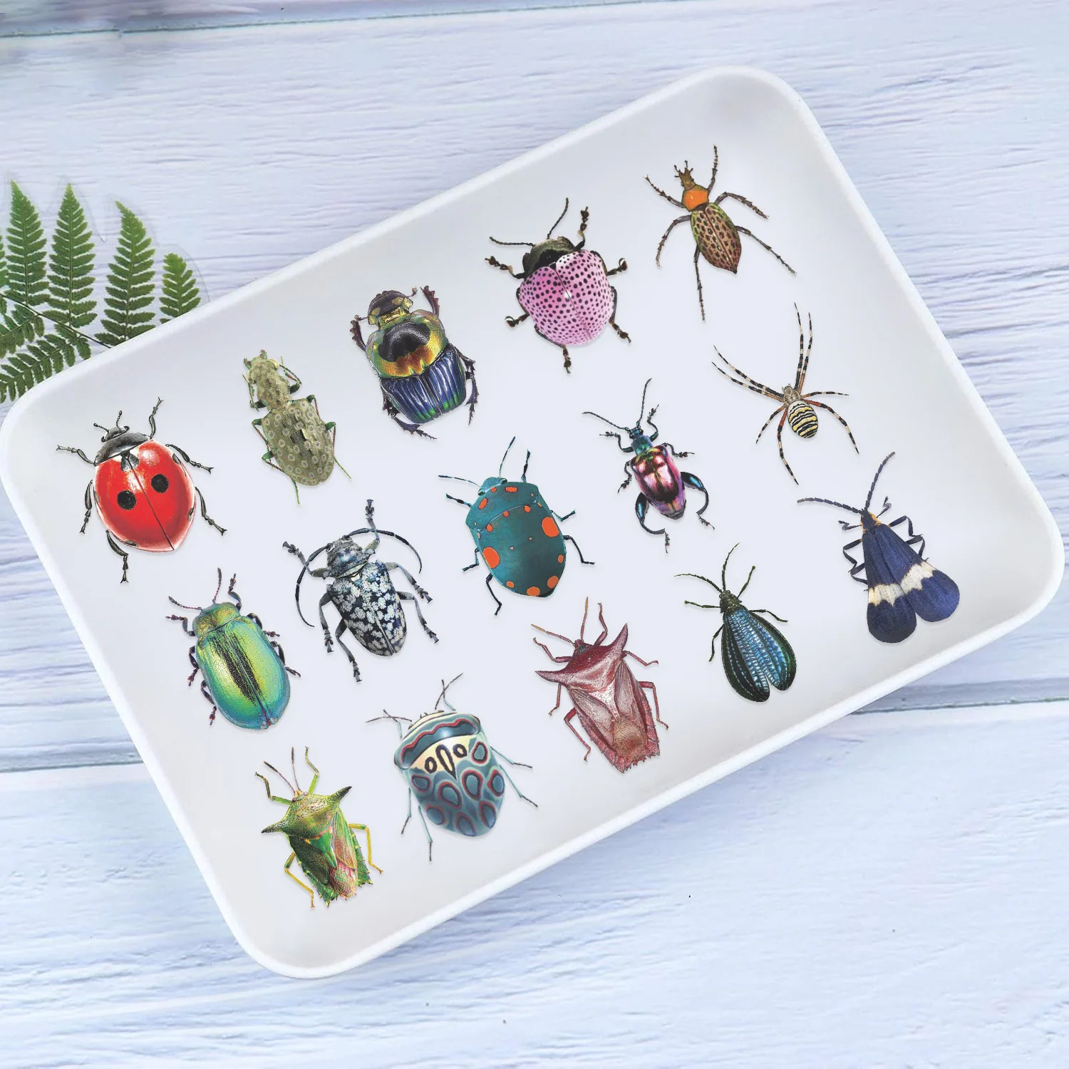 50 pçs dos desenhos animados bonito dos desenhos animados inseto besouro adesivos pet para brinquedo diy bagagem portátil guitarra skate caso de telefone bicicleta carro adesivo