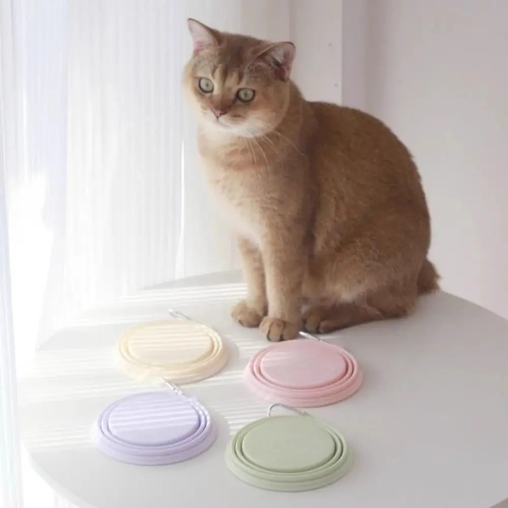 Thumbnail 4 - #8 Collapsible Puppy Bowls Discount Picks