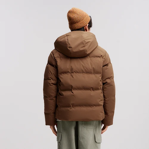 أسفل المعاطف