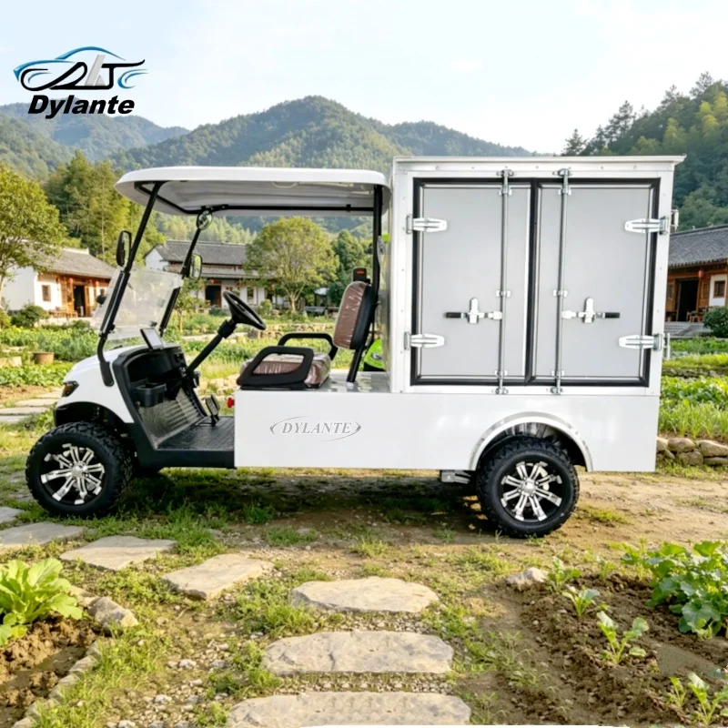 Personalized Custom Mini 2 Seat 5kW Electric Golf Cart Low-Price Custom Lithium Battery Van Version Golf Cart Off-Road Legal
