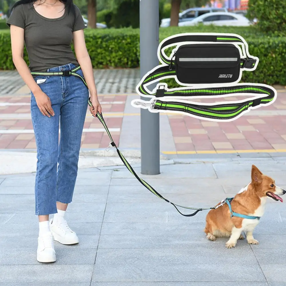 

Walk Dog Waist Bag Useful Elastic Rope Wear-resistant Multipurpose Sports Fanny Pack Dogs Leash for Outdoor