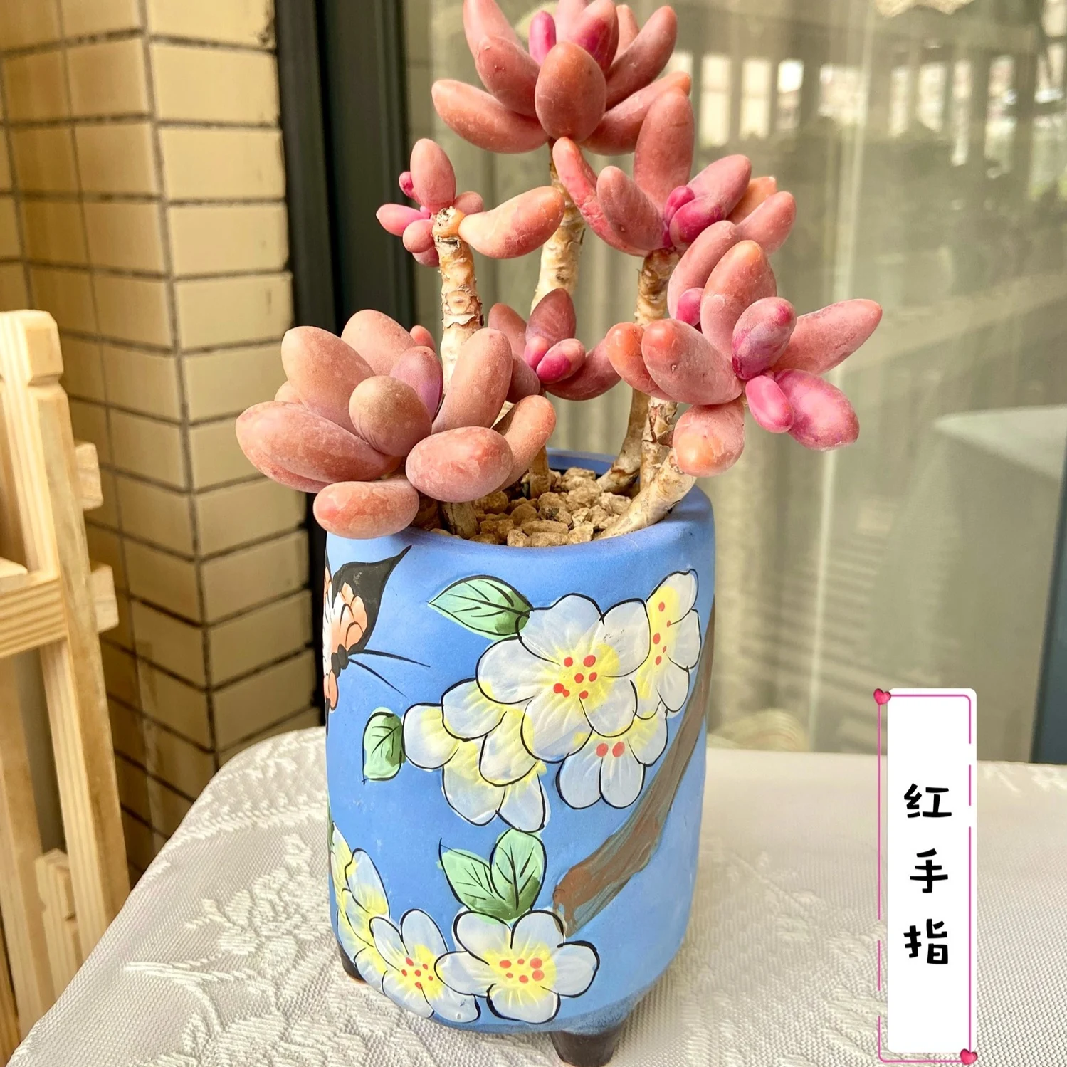 Succulent Flower Pot Breathable Coarse Pottery Handmade Painting Production Flowerpot Home Garden Bonsai Flower Plant Planting