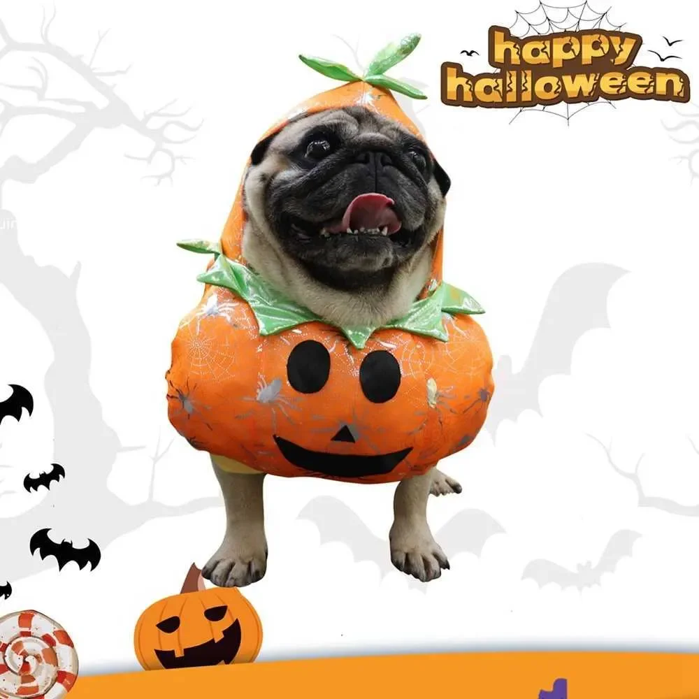

Clothes Halloween Funny Pumpkin Costume Pet Cosplay Special Events Apparel Outfit Dog Cute Costumes Clothing Z241015