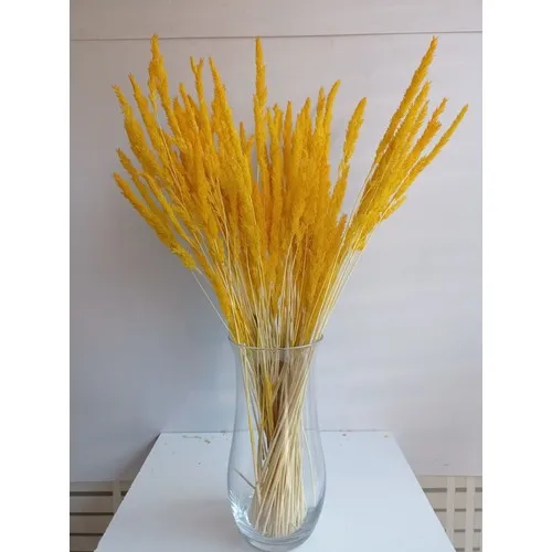 Mimosa Flower Glass Vase Sea Ear Yellow Double Bundle